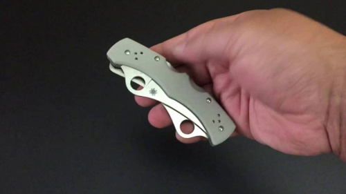Складной нож Spyderco Dyad® - 44GP&SGY фото 9