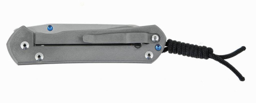 Складной нож Chris Reeve Large Sebenza 21 Insingo фото 4