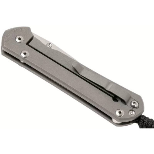 Складной нож Chris Reeve Large Sebenza 21 Think Twice фото 9 Складной нож Chris Reeve Large Sebenza 21 Think Twice фото 9